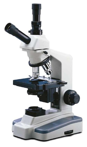 A Typical Classroom Microscope